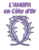 logo AMOPA21