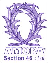 logo AMOPA46